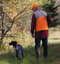 Maine's hunting season: unmatched thrill!